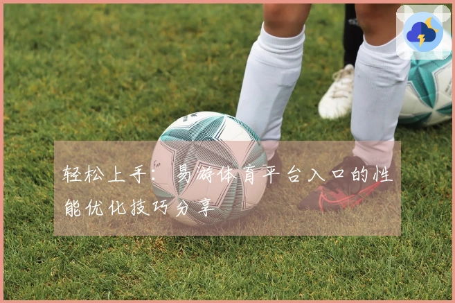 轻松上手：易游体育平台入口的性能优化技巧分享