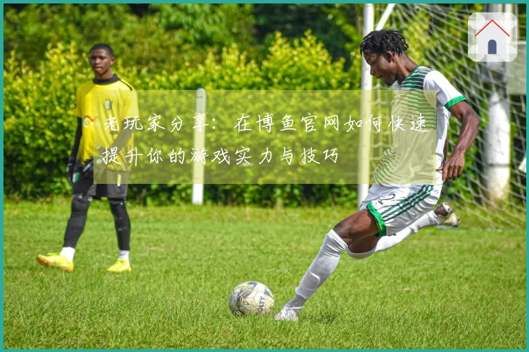 老玩家分享：在博鱼官网如何快速提升你的游戏实力与技巧