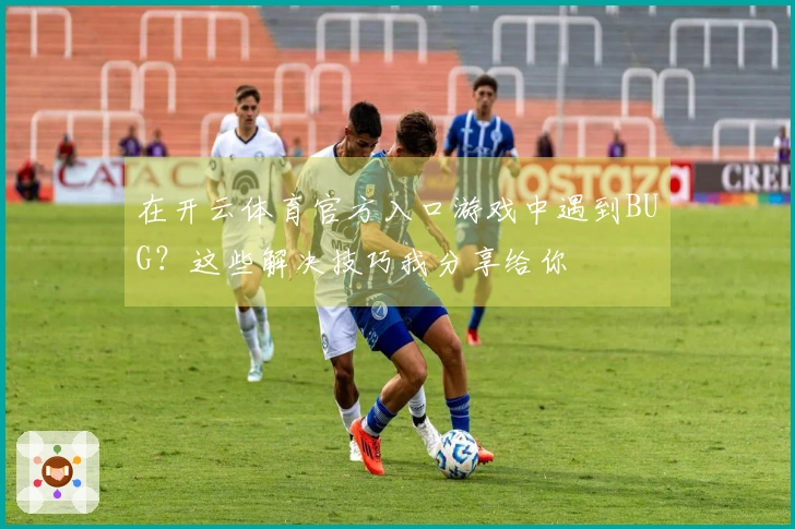 在开云体育官方入口游戏中遇到BUG？这些解决技巧我分享给你