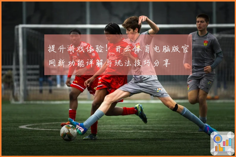 提升游戏体验！开云体育电脑版官网新功能详解与玩法技巧分享